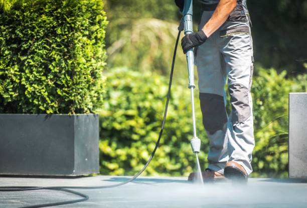 Best Driveway Pressure Washing  in Lock Haven, PA